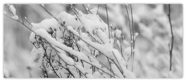 Slika - Snježene grane (120x50 cm)