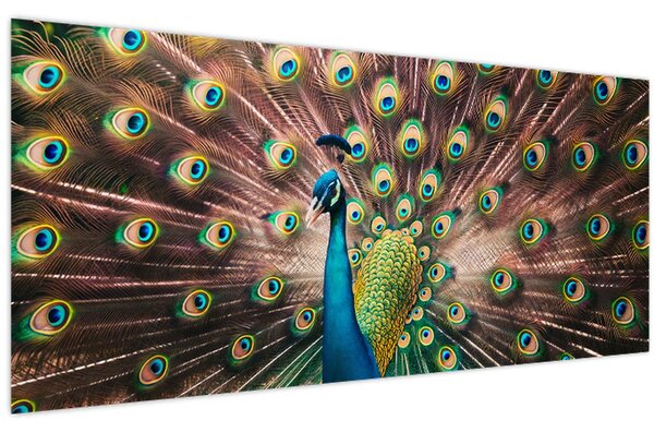 Slika - Paun (120x50 cm)