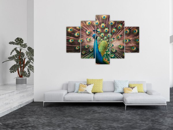 Slika - Paun (150x105 cm)