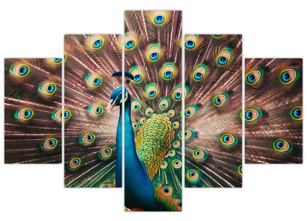 Slika - Paun (150x105 cm)