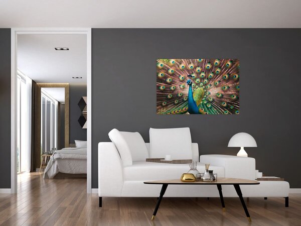 Slika - Paun (90x60 cm)