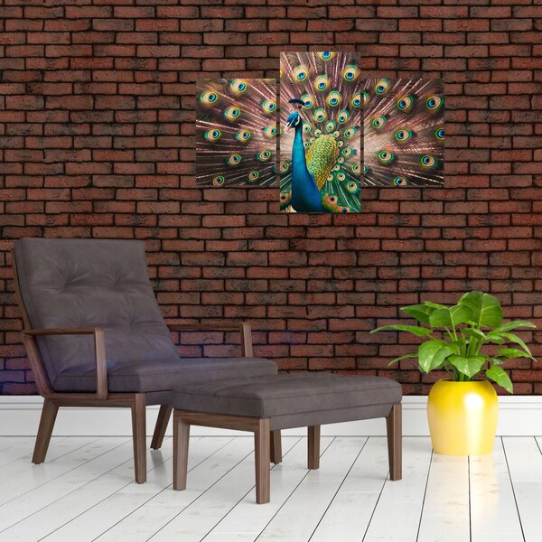 Slika - Paun (90x60 cm)