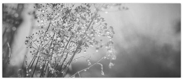 Slika - Livada poslije kiše (120x50 cm)