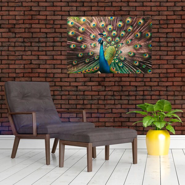 Slika - Paun (90x60 cm)