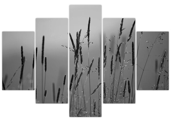 Slika - Vlati trave (150x105 cm)
