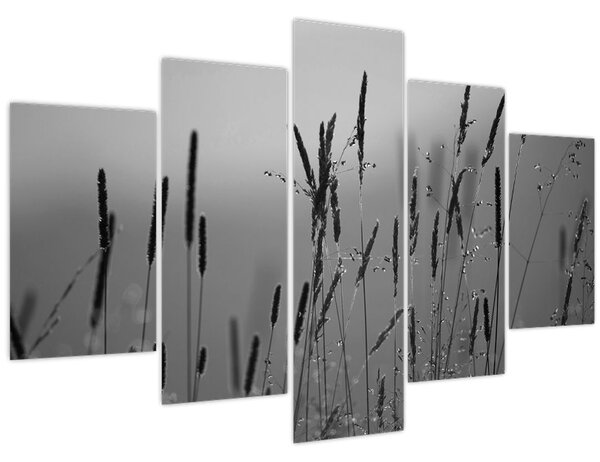 Slika - Vlati trave (150x105 cm)