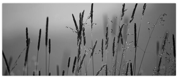 Slika - Vlati trave (120x50 cm)