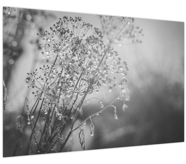 Slika - Livada poslije kiše (90x60 cm)