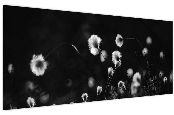 Slika - Livada s pamučnicom N⁰1 (120x50 cm)