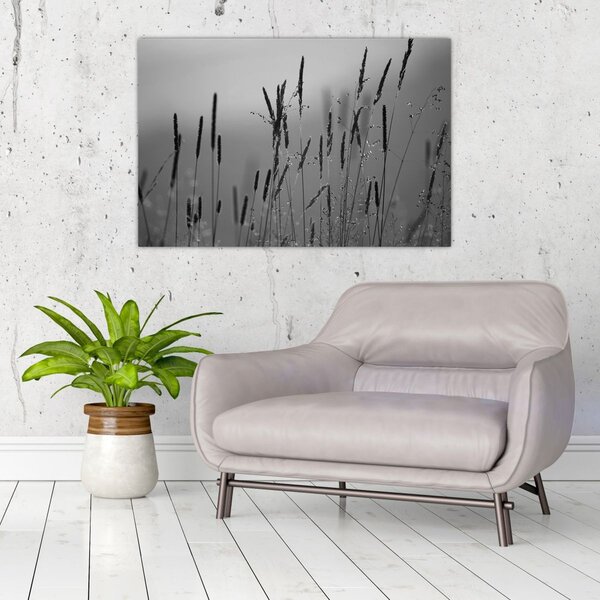 Slika - Vlati trave (90x60 cm)