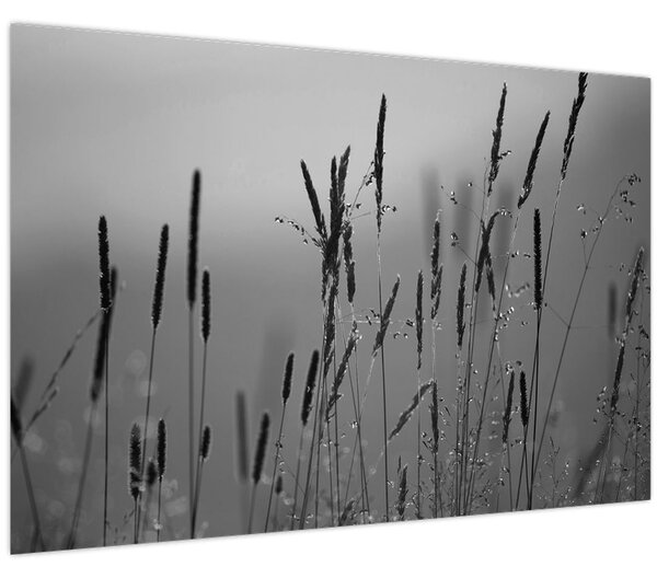 Slika - Vlati trave (90x60 cm)
