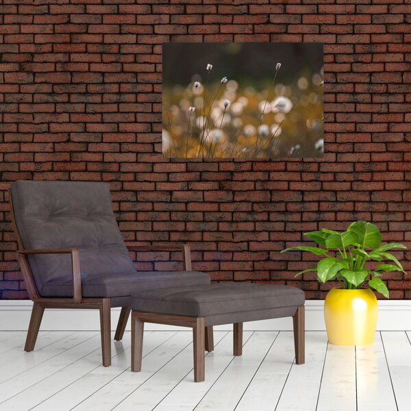 Slika - Livada s pamučnicom N⁰2 (70x50 cm)