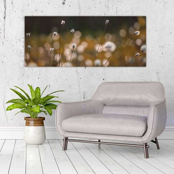 Slika - Livada s pamučnicom N⁰2 (120x50 cm)