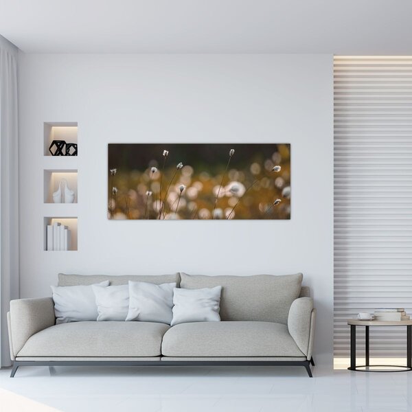 Slika - Livada s pamučnicom N⁰2 (120x50 cm)