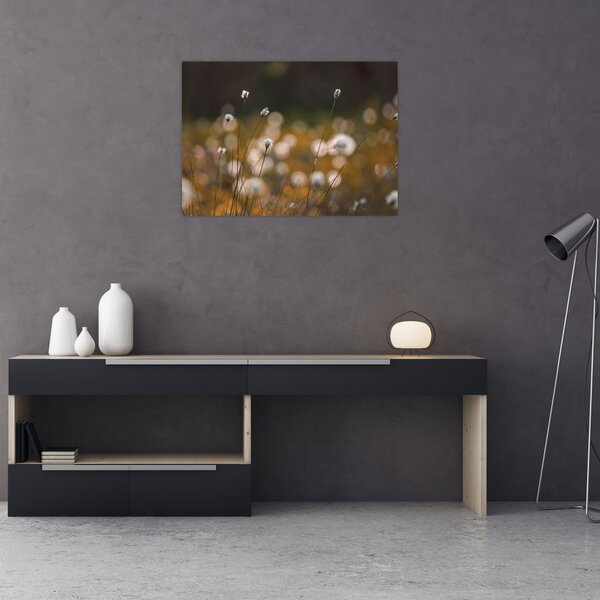 Slika - Livada s pamučnicom N⁰2 (70x50 cm)