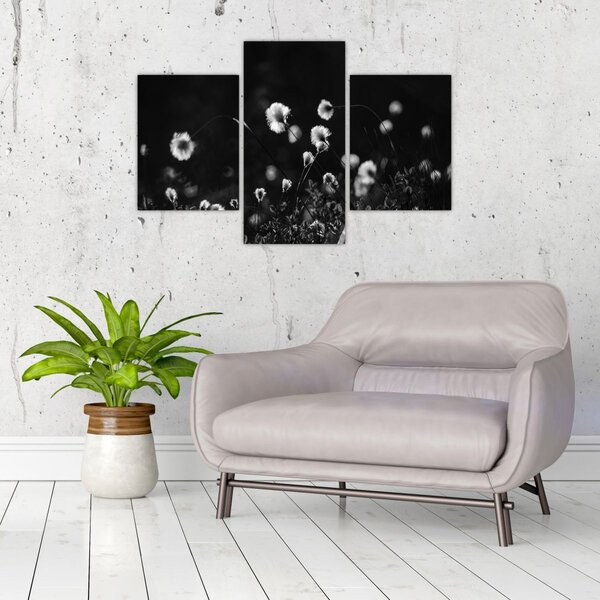 Slika - Livada s pamučnicom N⁰1 (90x60 cm)