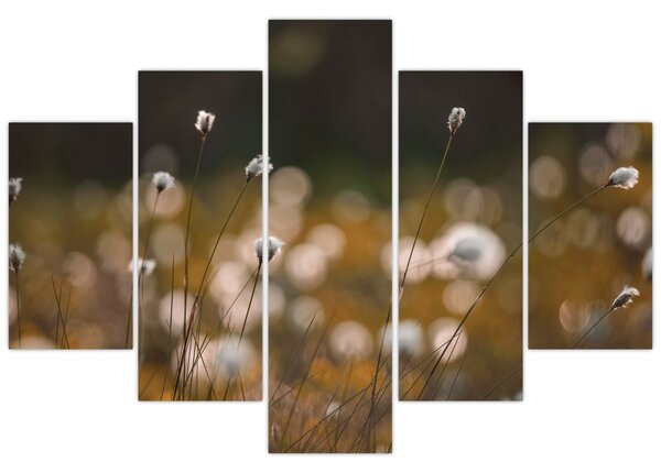Slika - Livada s pamučnicom N⁰2 (150x105 cm)