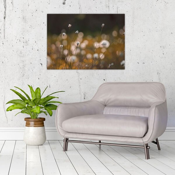 Slika - Livada s pamučnicom N⁰2 (70x50 cm)