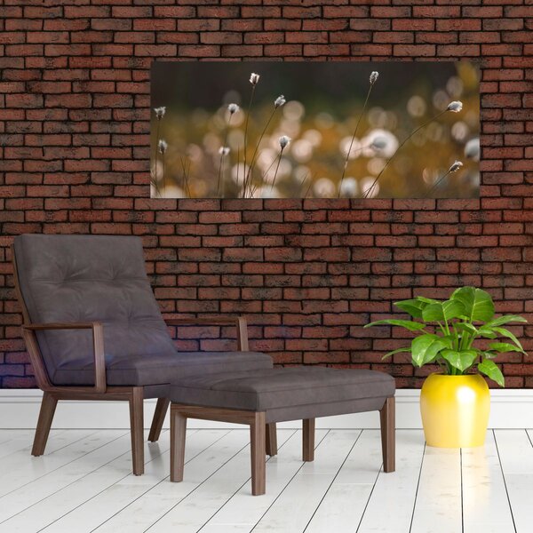 Slika - Livada s pamučnicom N⁰2 (120x50 cm)