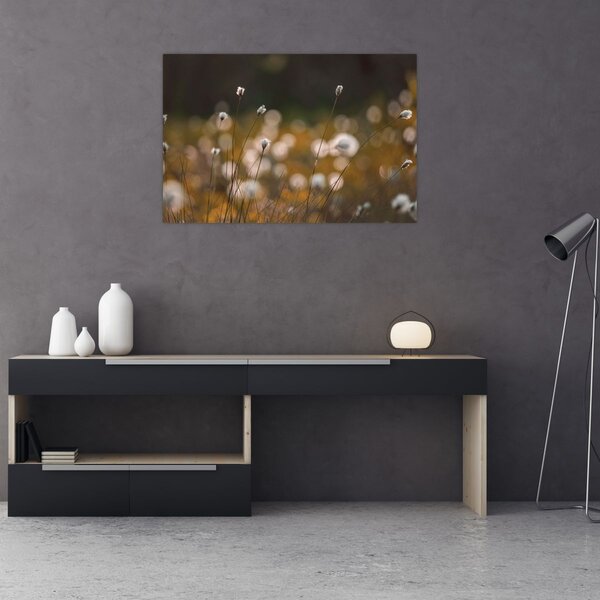 Slika - Livada s pamučnicom N⁰2 (90x60 cm)