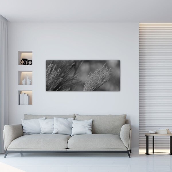 Slika - Osušena pampas trava (120x50 cm)