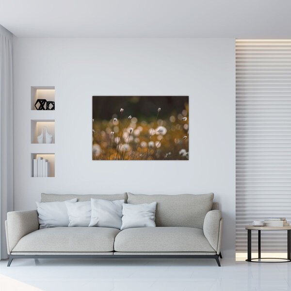 Slika - Livada s pamučnicom N⁰2 (90x60 cm)