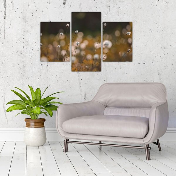 Slika - Livada s pamučnicom N⁰2 (90x60 cm)