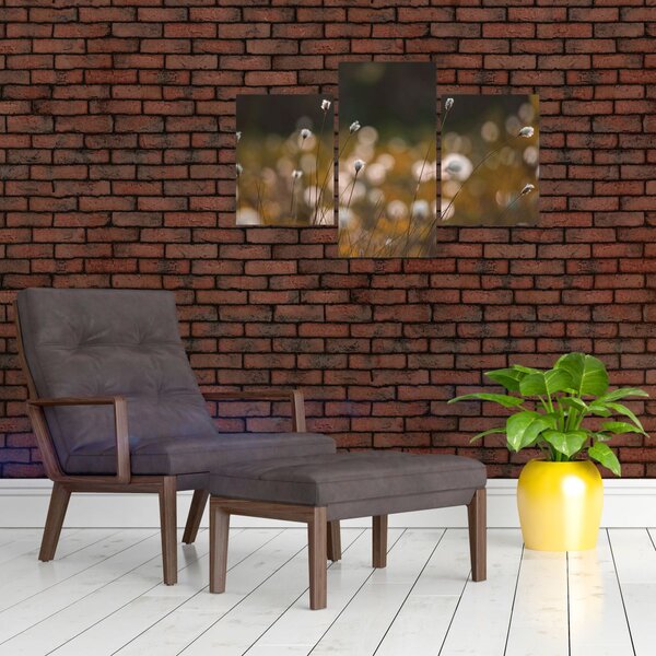 Slika - Livada s pamučnicom N⁰2 (90x60 cm)