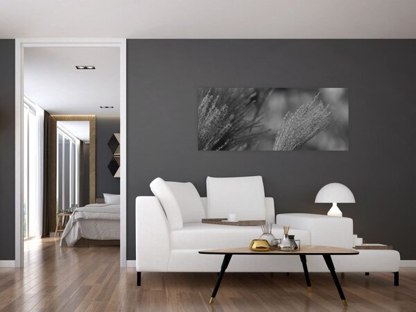 Slika - Osušena pampas trava (120x50 cm)