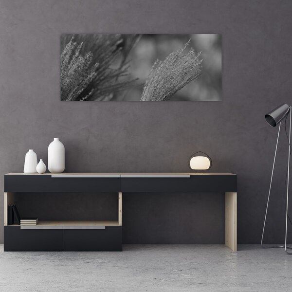 Slika - Osušena pampas trava (120x50 cm)