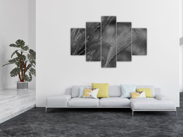 Slika - Osušena pampas trava (150x105 cm)