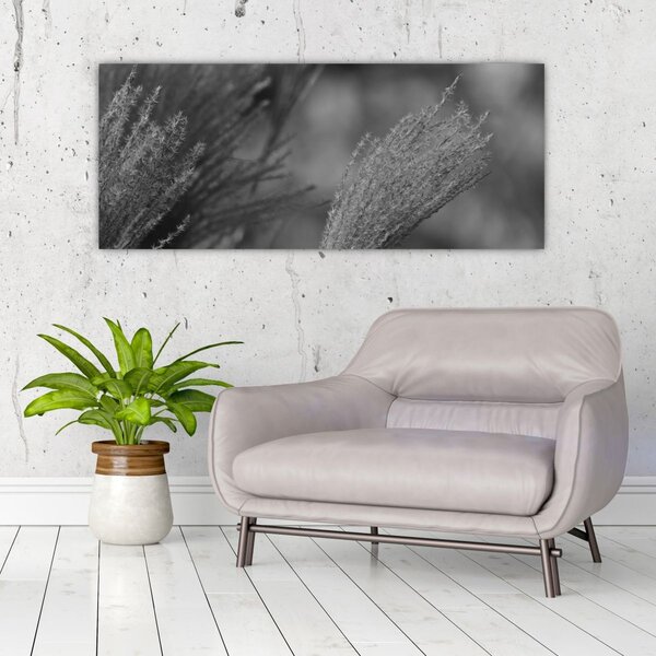 Slika - Osušena pampas trava (120x50 cm)