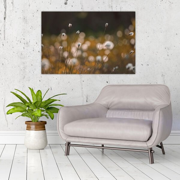 Slika - Livada s pamučnicom N⁰2 (90x60 cm)