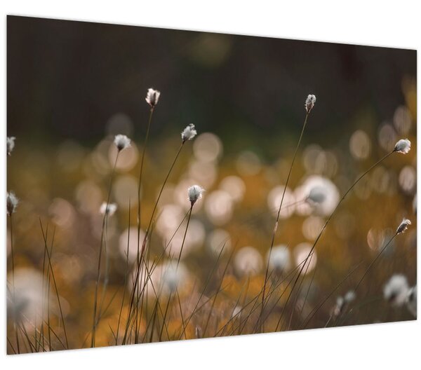 Slika - Livada s pamučnicom N⁰2 (90x60 cm)