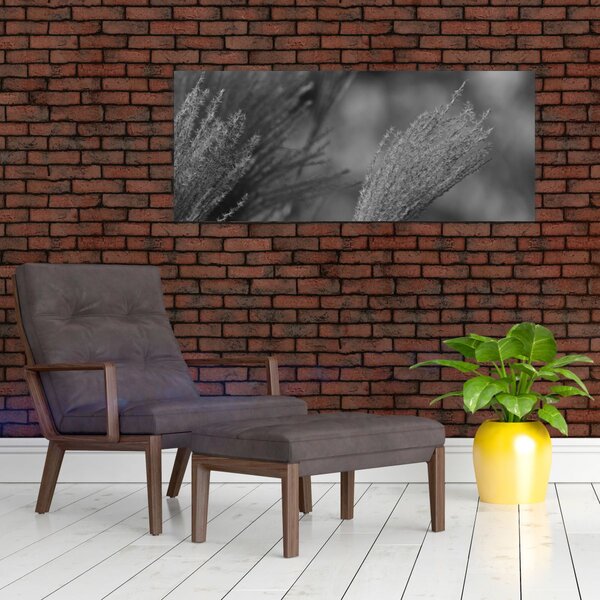 Slika - Osušena pampas trava (120x50 cm)