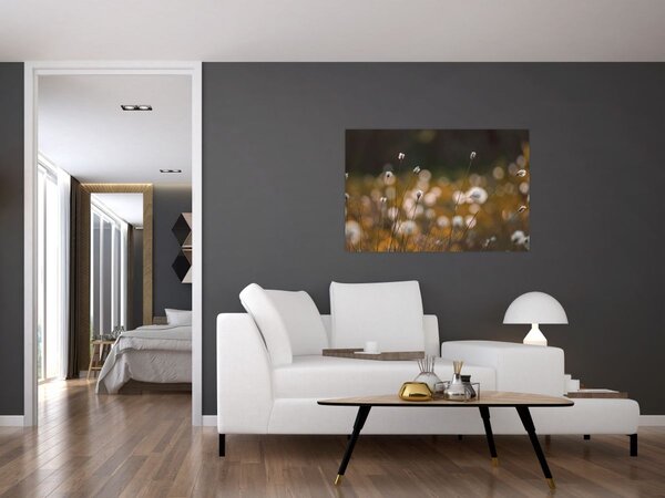 Slika - Livada s pamučnicom N⁰2 (90x60 cm)