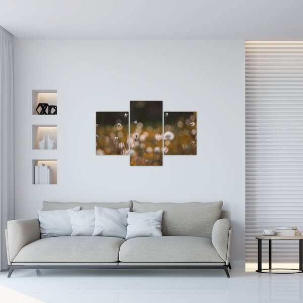 Slika - Livada s pamučnicom N⁰2 (90x60 cm)