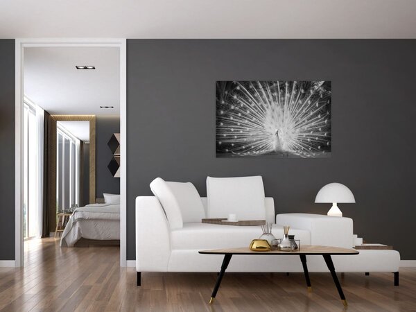 Slika - Bijeli paun (90x60 cm)