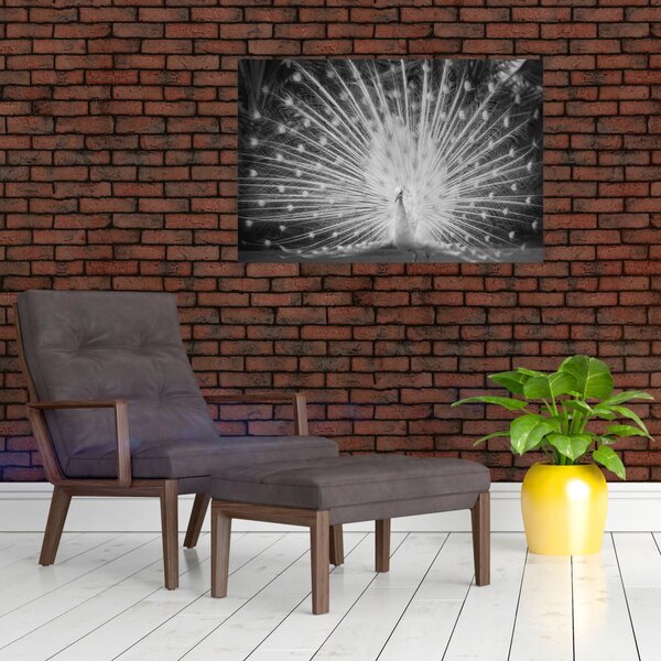 Slika - Bijeli paun (90x60 cm)