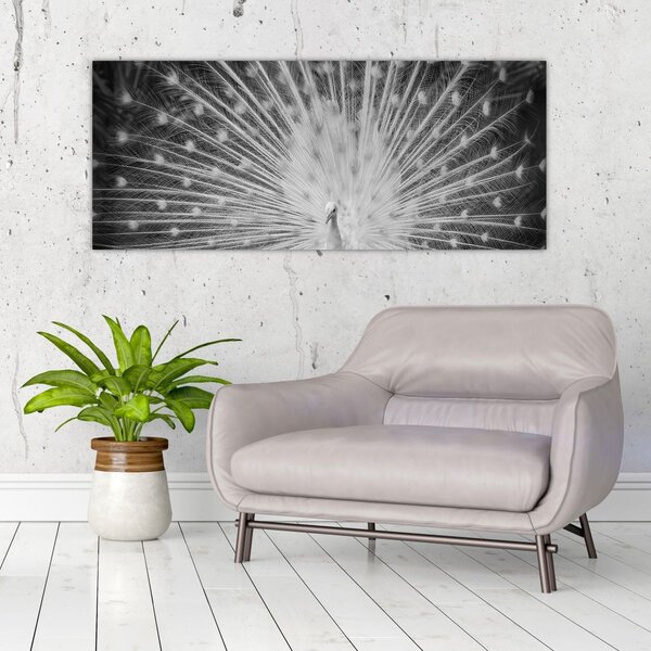 Slika - Bijeli paun (120x50 cm)
