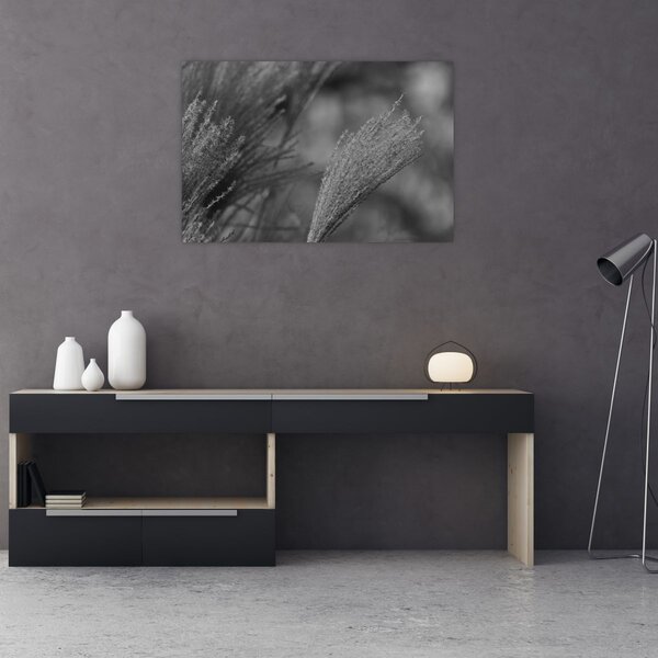 Slika - Osušena pampas trava (90x60 cm)