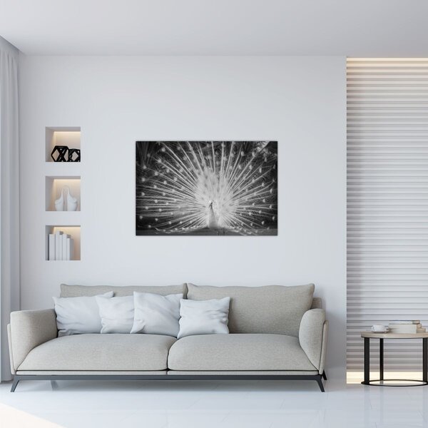 Slika - Bijeli paun (90x60 cm)