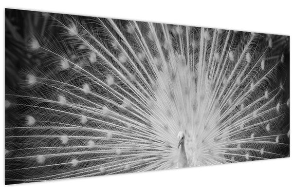 Slika - Bijeli paun (120x50 cm)