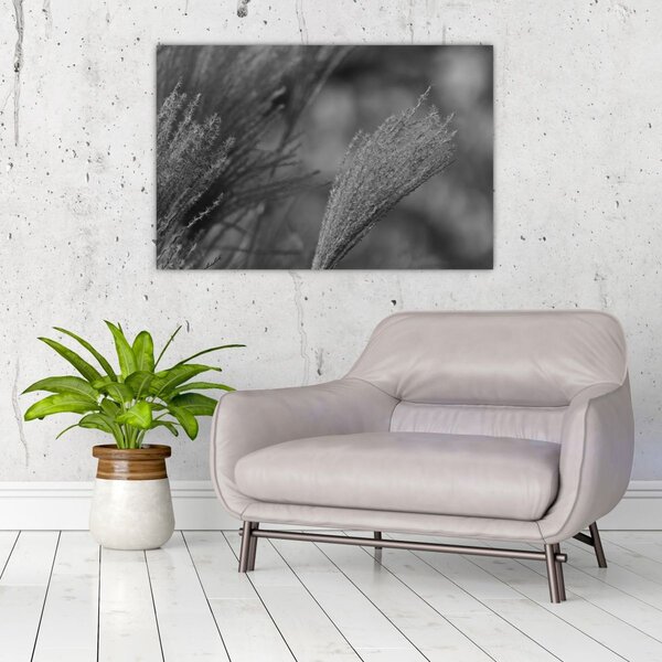 Slika - Osušena pampas trava (90x60 cm)