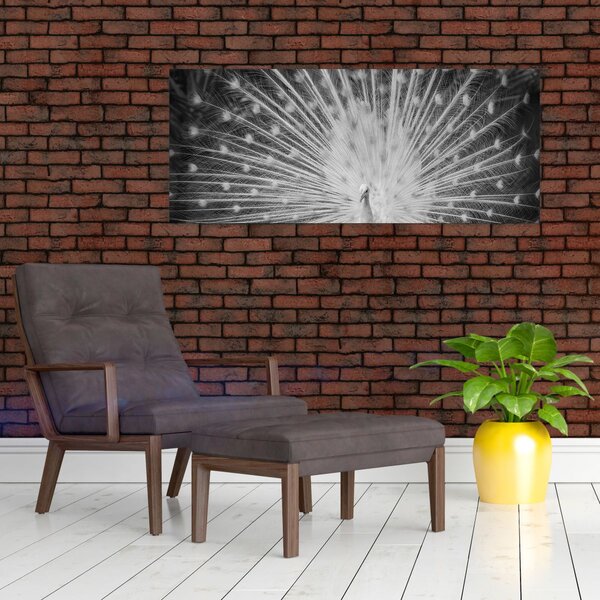 Slika - Bijeli paun (120x50 cm)