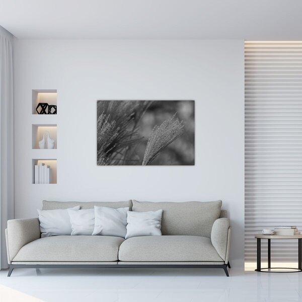 Slika - Osušena pampas trava (90x60 cm)