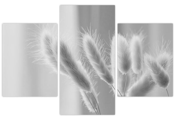 Slika - Zečji rep trava (90x60 cm)
