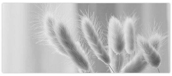 Slika - Zečji rep trava (120x50 cm)