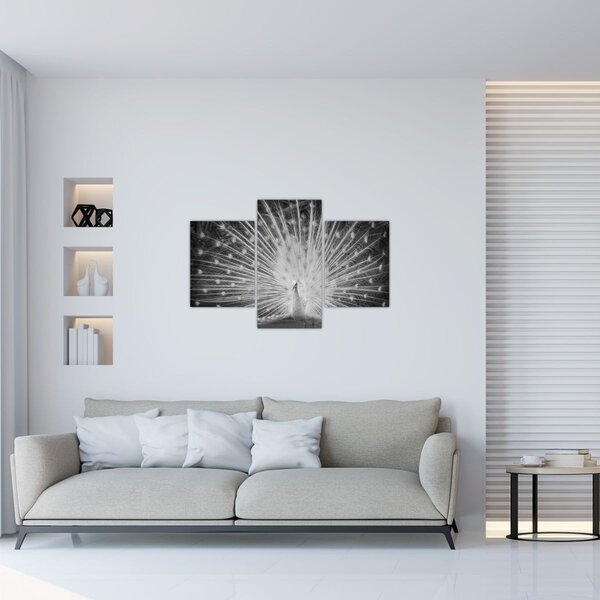 Slika - Bijeli paun (90x60 cm)