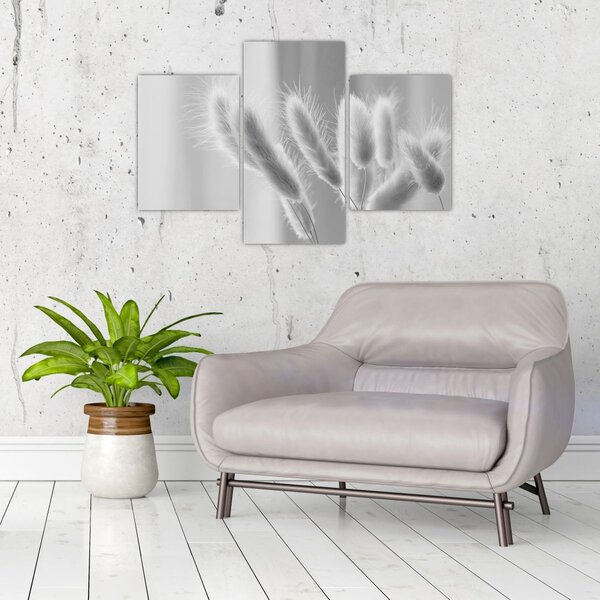 Slika - Zečji rep trava (90x60 cm)